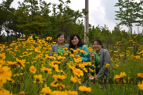 大乳山游記之一： 長(zhǎng)江路，讓心情在這里“撒歡撂跤”