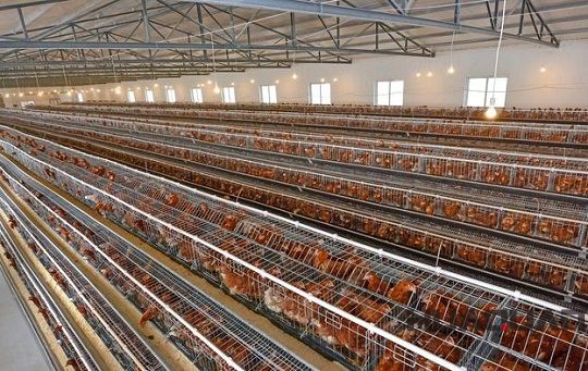 迎風而上冒雨前行，華全發電機組用實際行動助力南京抵御臺風侵襲